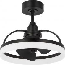 Progress P250115-31M-30 - P250115-31M-30 CEILING FAN